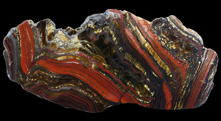 Polished Tiger Iron Stromatolite - ( Billion Years) #65559